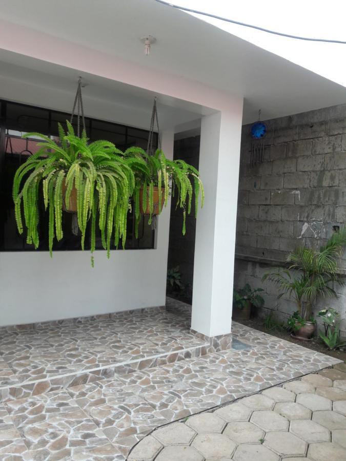 Suzet House Guest House Oxapampa Exterior foto