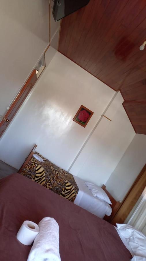 Suzet House Guest House Oxapampa Exterior foto
